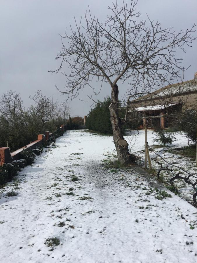 فيلا Malicodia Santa Maria di Licodia المظهر الخارجي الصورة